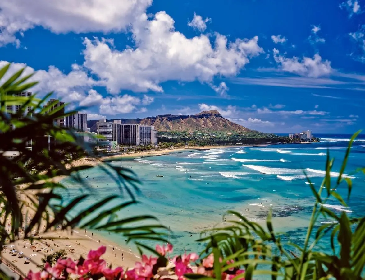 Apartment Gorgeous Condo With Ocean View, Near Beach, Free Parking Honolulu
