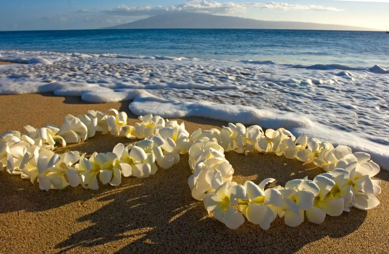Gorgeous Condo With Ocean View, Near Beach, Free Parking Honolulu Apartment